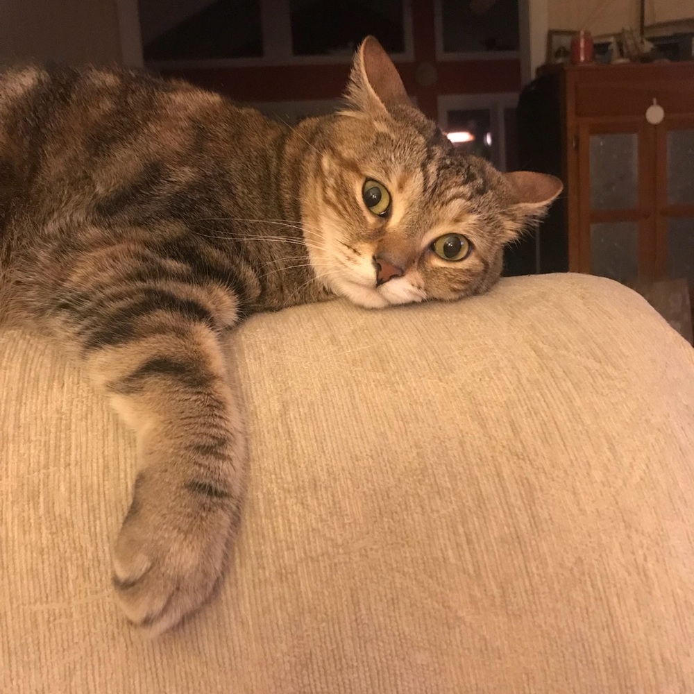 Meet your Posher, Victoria